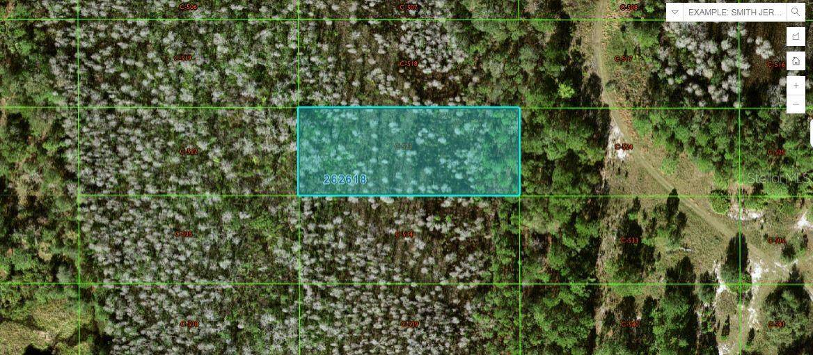 OLD GRADE RD, Polk City, FL 33868