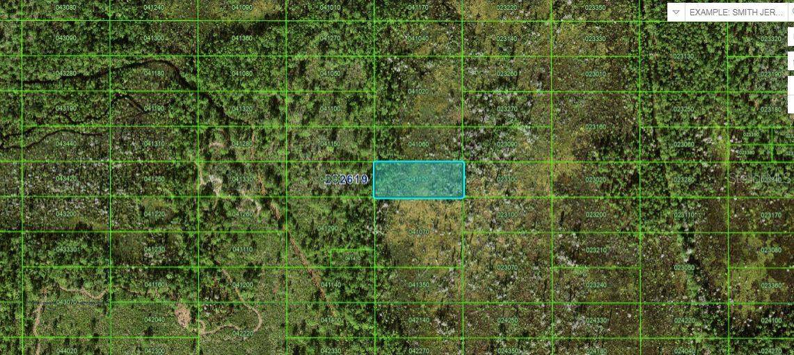 OLD GRADE RD, Polk City, FL 33868