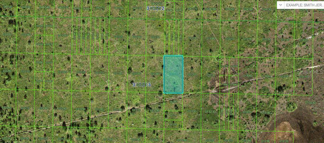 RIVER RANCH BLVD, Lake Wales, FL 33898