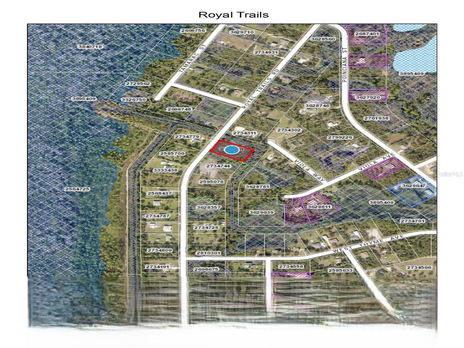 ROYAL TRAILS RD, Eustis, FL 32736