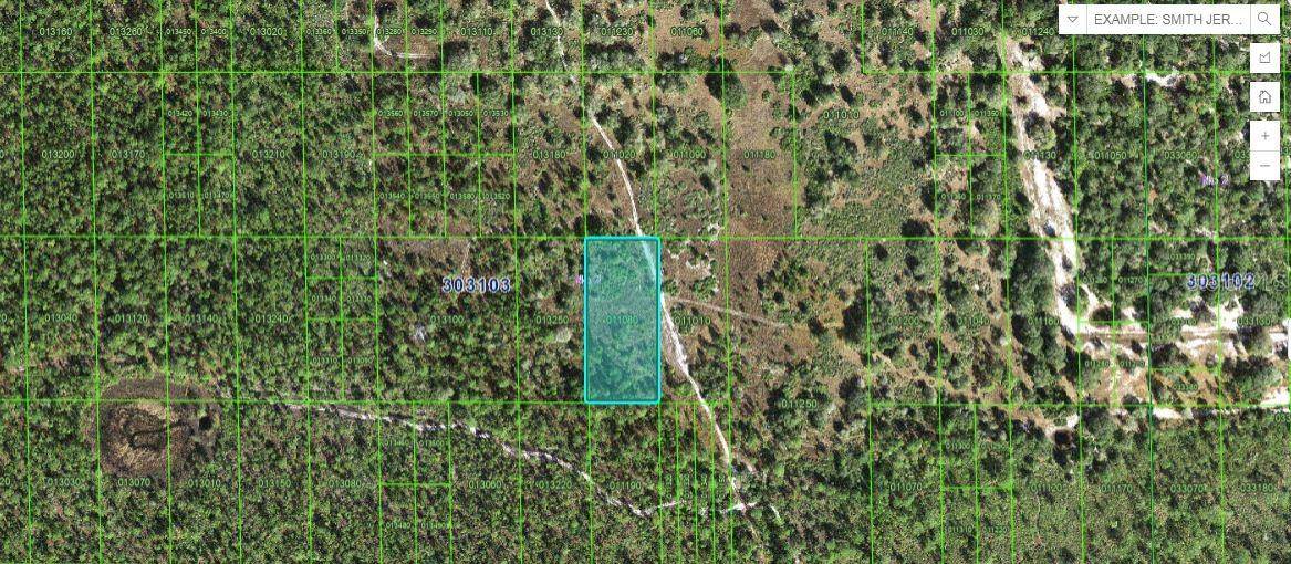 Lake Wales, FL 33898