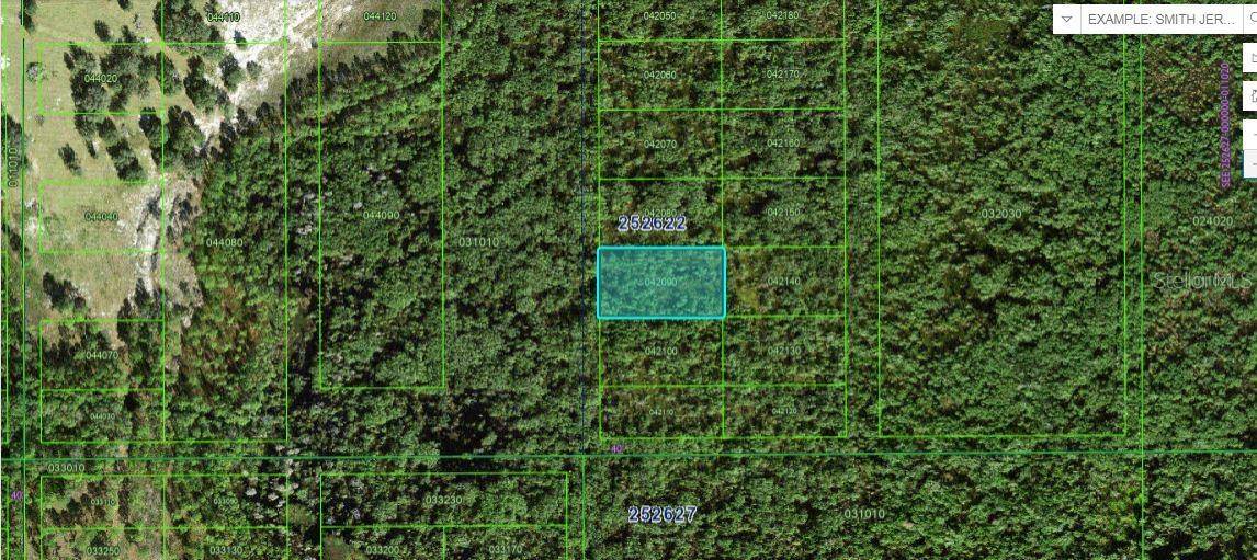 COMMONWEALTH AVE N, Polk City, FL 33868