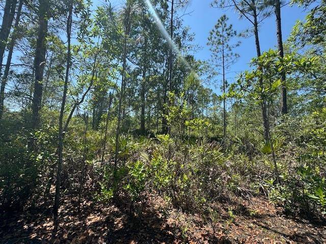 NINEMILE POINT RD, Pierson, FL 32180
