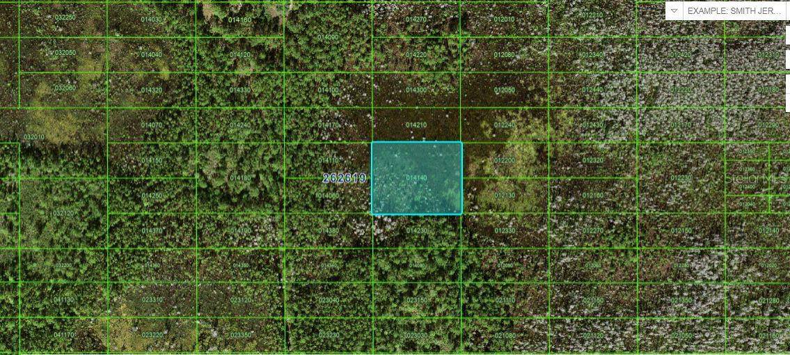 OLD GRADE RD, Polk City, FL 33868