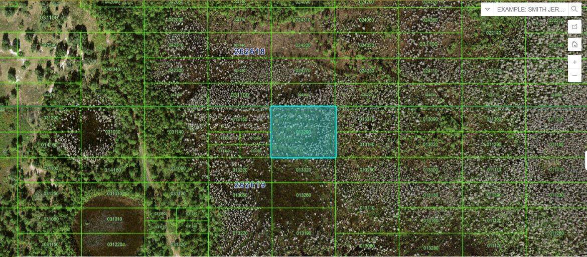 OLD GRADE RD, Polk City, FL 33868