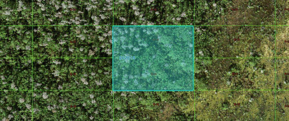 OLD GRADE RD, Polk City, FL 33868