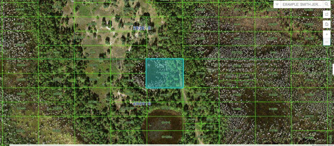 OLD GRADE RD, Polk City, FL 33868