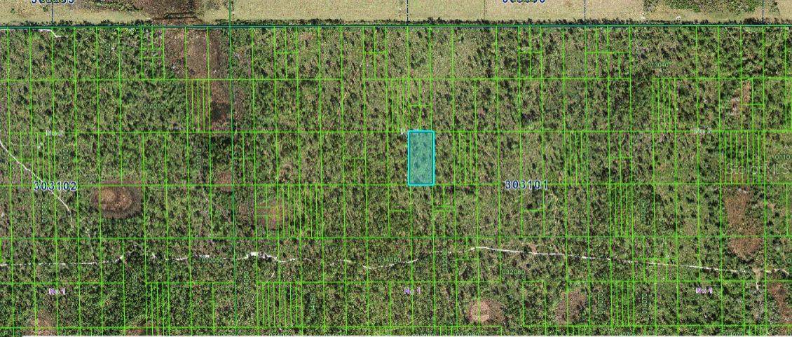 SHADY OAKS DR, Lake Wales, FL 33898