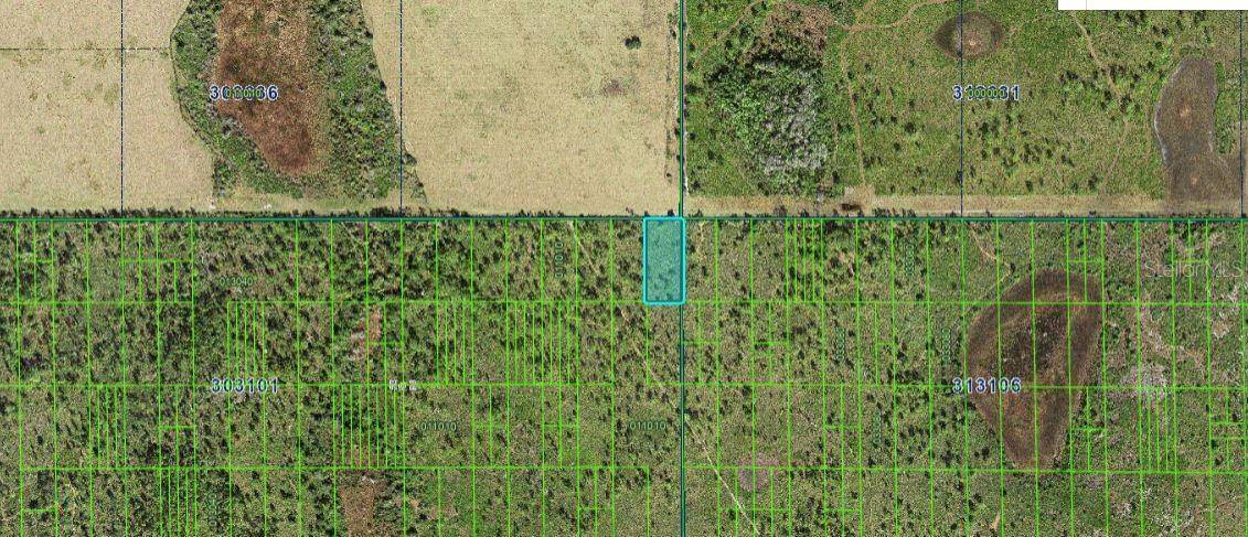 SHADY OAKS DR, Lake Wales, FL 33898