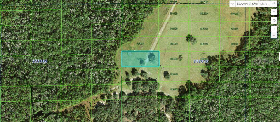 BACKLAND PATH RD, Polk City, FL 33868