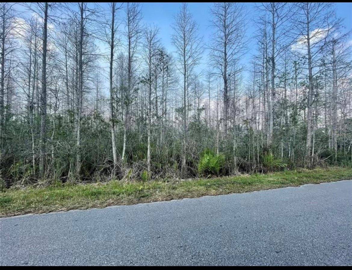 LUNA DR, St Cloud, FL 34773