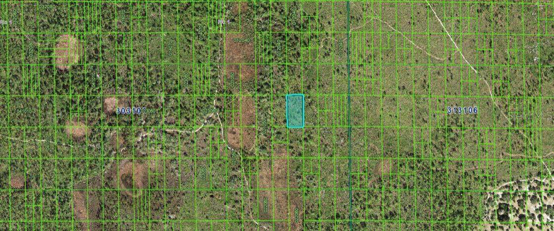 SHADY OAKS DR, Lake Wales, FL 33898