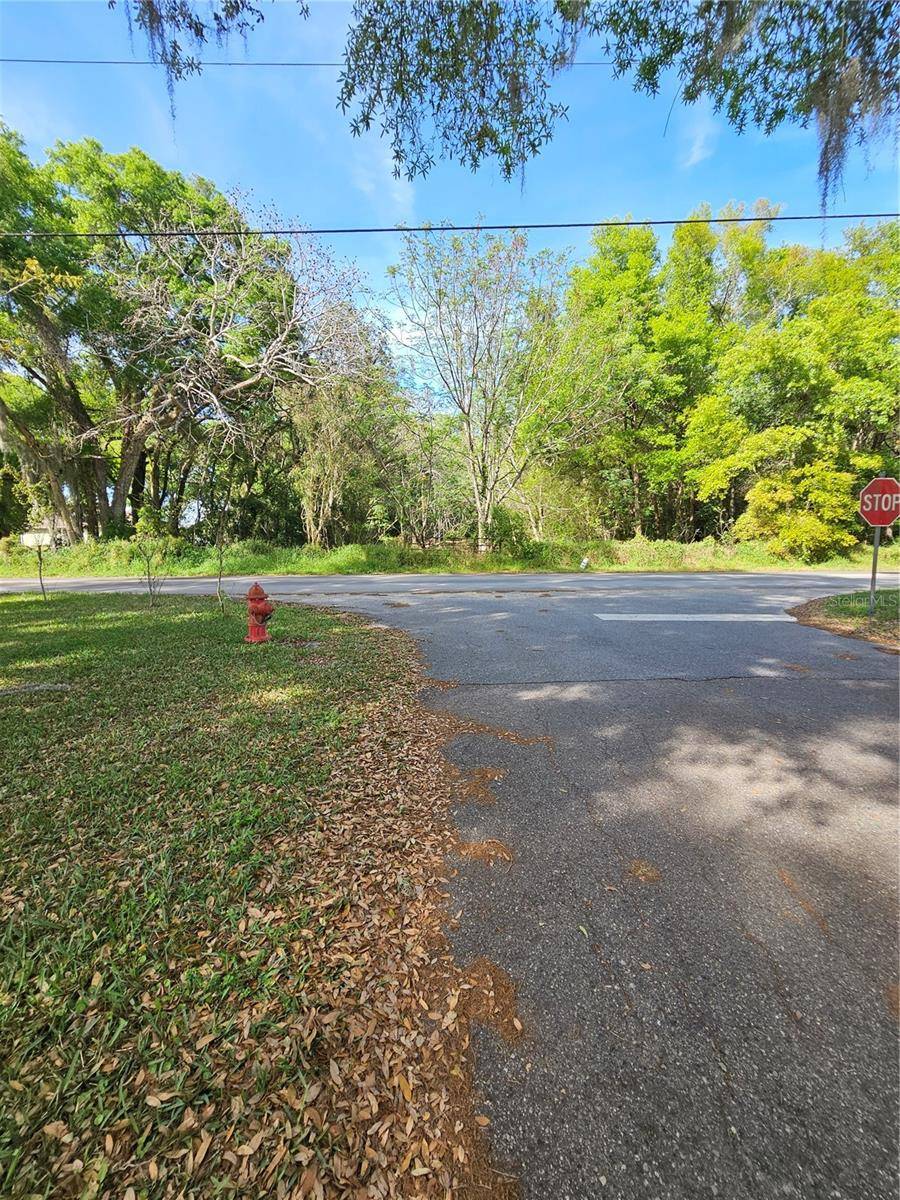 1603 PINE RIDGE DAIRY RD, Fruitland Park, FL 34731