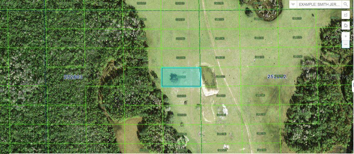DEEN STILL RD, Polk City, FL 33868