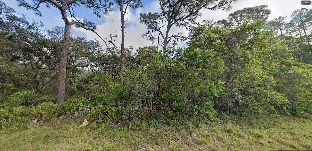 DEEN STILL RD, Polk City, FL 33868