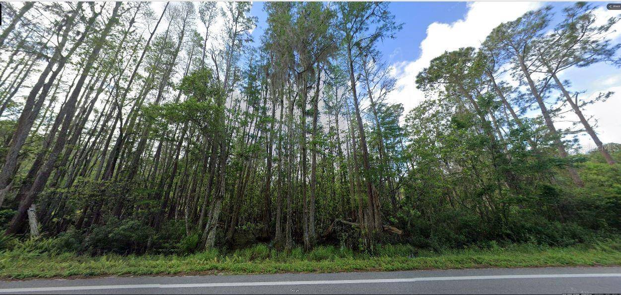 DEEN STILL RD, Polk City, FL 33868
