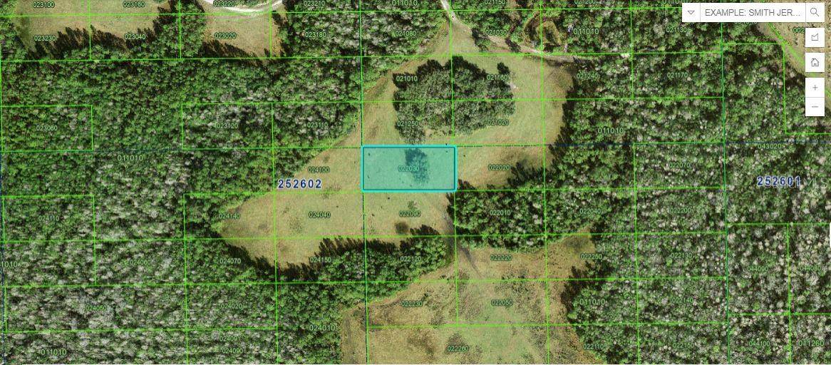 DEEN STILL RD, Polk City, FL 33868
