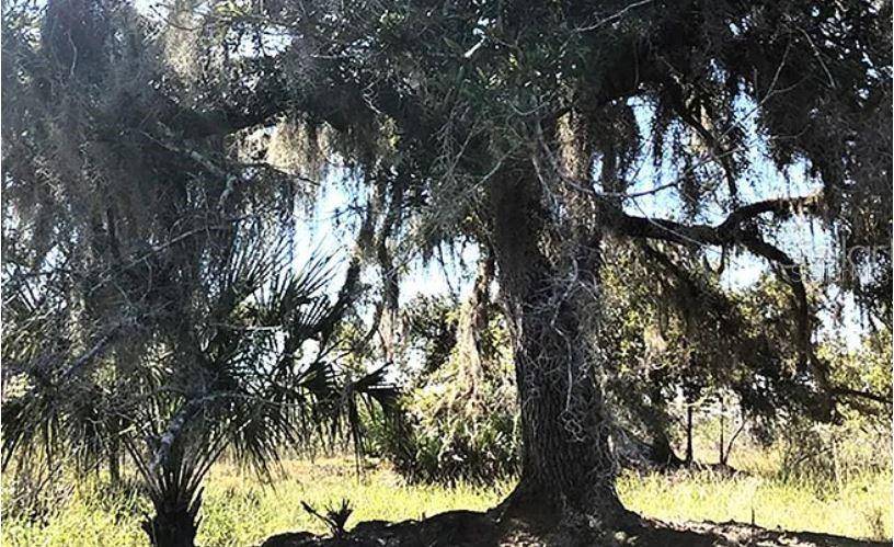 HWY 60 E, Lake Wales, FL 33898