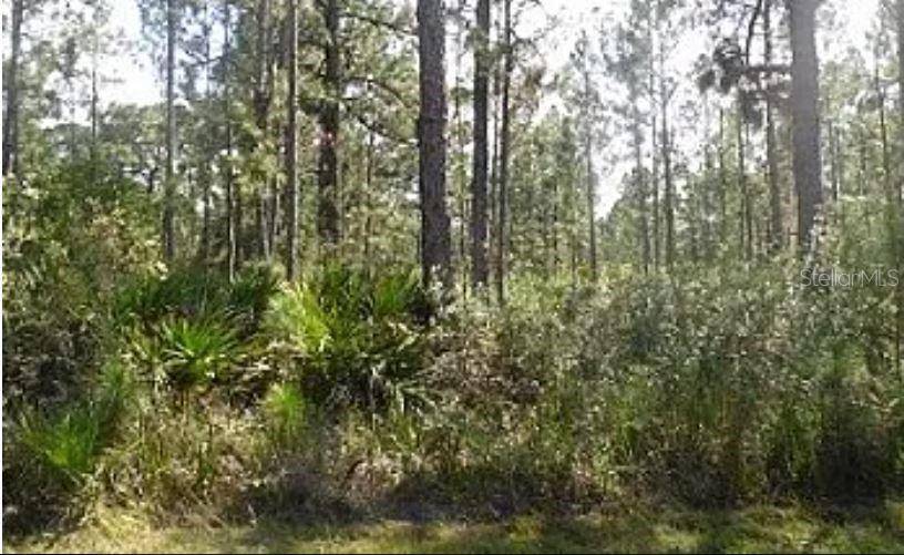 HWY 60 E, Lake Wales, FL 33898