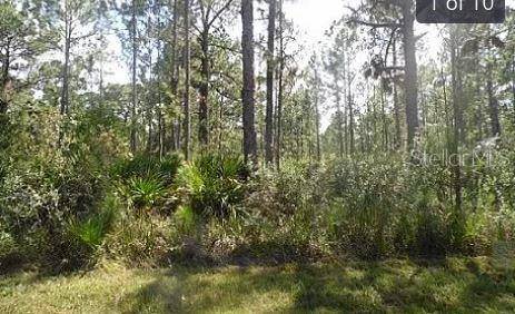 HWY 60 E, Lake Wales, FL 33898