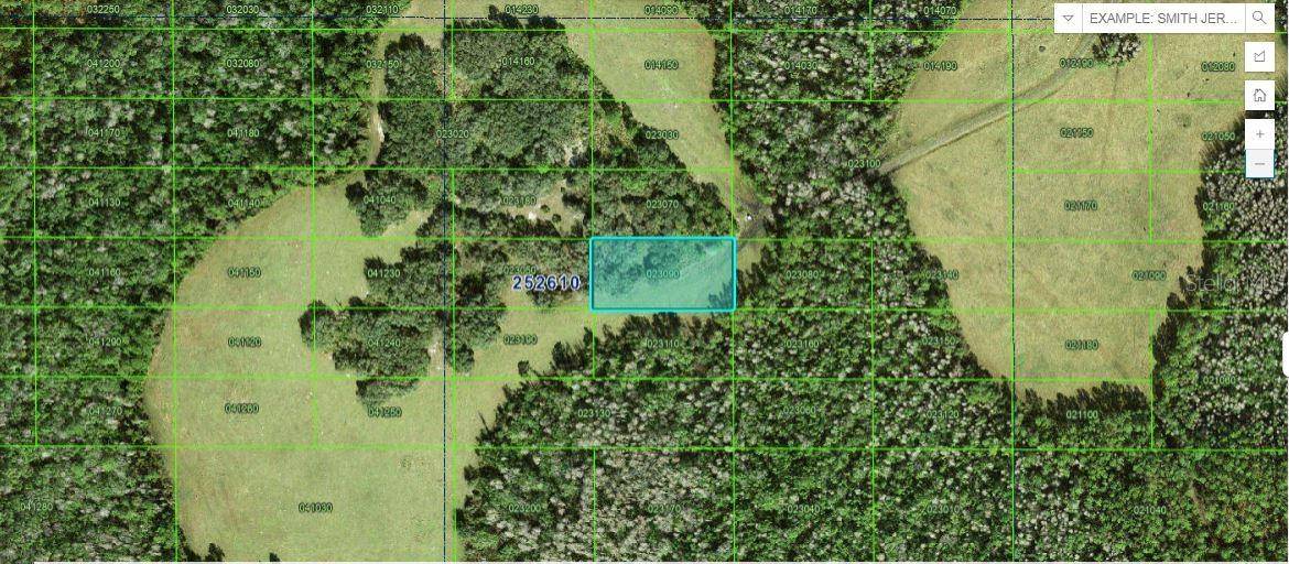 TALL PINE RD, Polk City, FL 33868