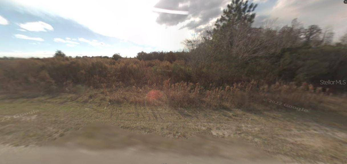 BACKLAND PATH RD, Polk City, FL 33868