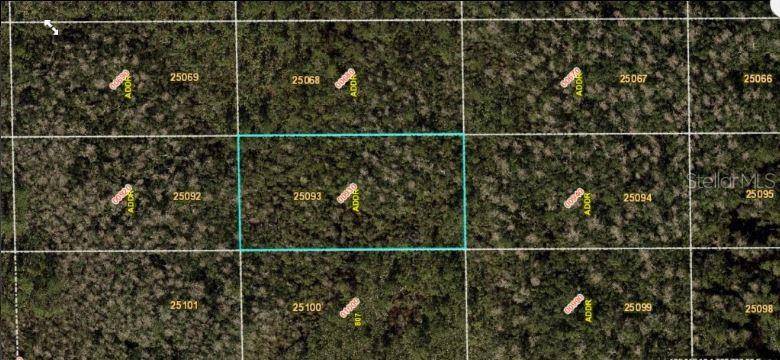 DILL RD, Orlando, FL 32820