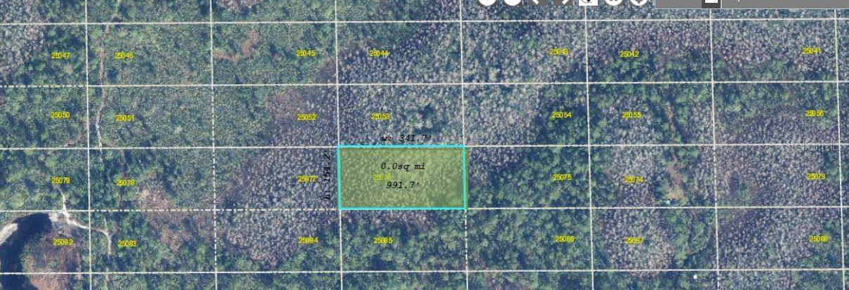 DILL RD, Orlando, FL 32820
