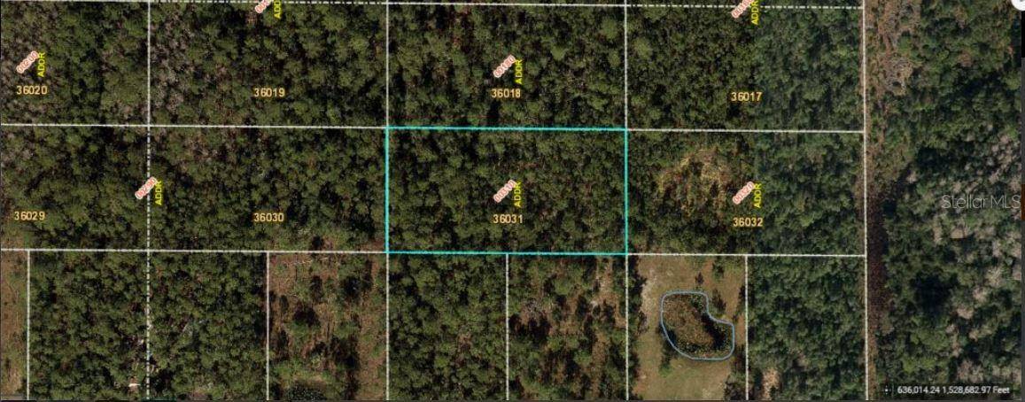 E COLONIAL DR, Orlando, FL 32820