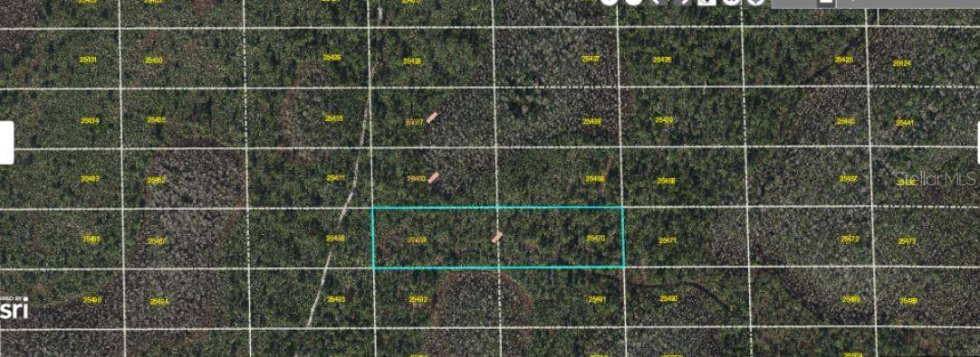 DILL RD, Orlando, FL 32820