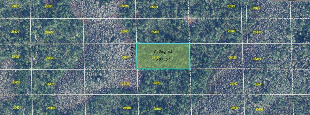 DILL RD, Orlando, FL 32820