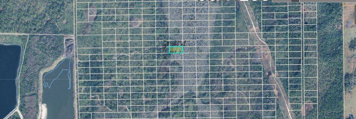 DILL RD, Orlando, FL 32820
