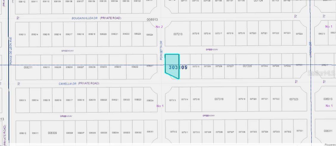 224 CAMELLIA DR, Indian Lake Estates, FL 33855