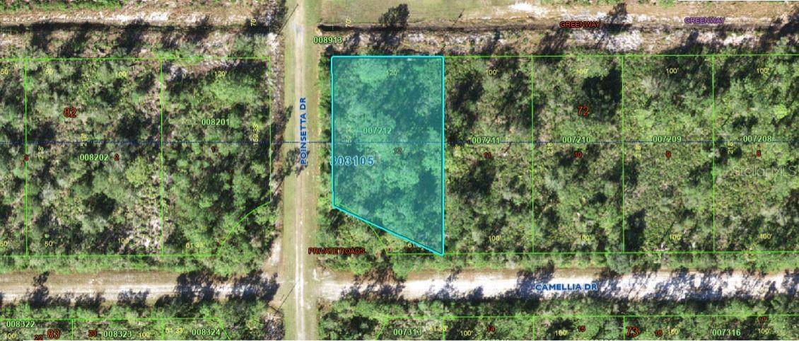 224 CAMELLIA DR, Indian Lake Estates, FL 33855