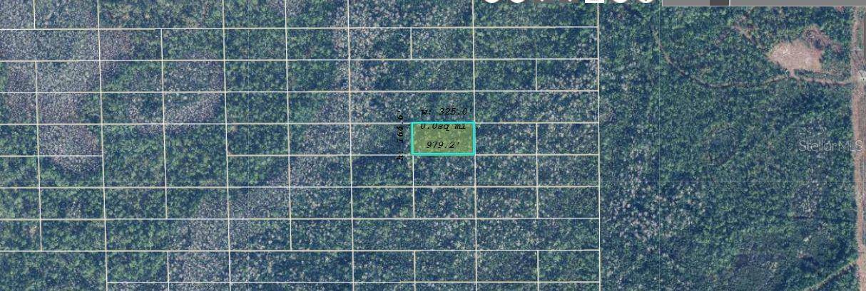 DILL RD, Orlando, FL 32820