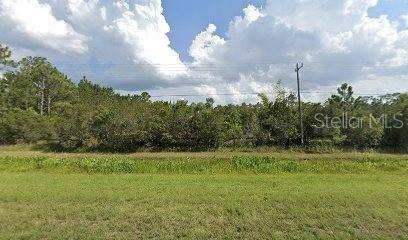 20498 E COLONIAL DR, Christmas, FL 32709