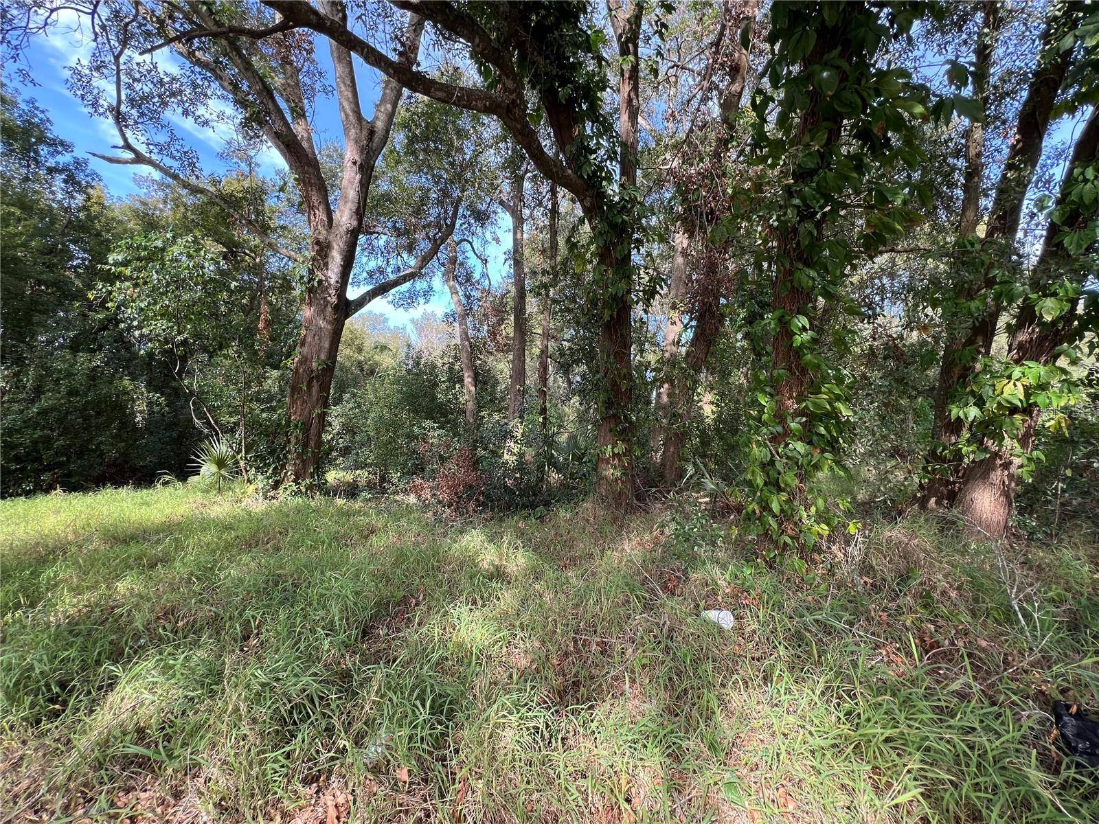 875 OCOEE APOPKA RD, Apopka, FL 32703