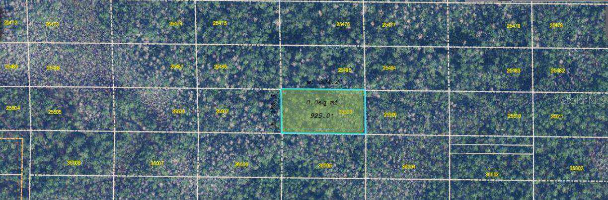 DILL RD, Orlando, FL 32820