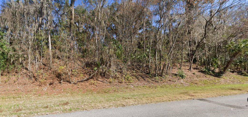 SE WACAHOOTA RD, Micanopy, FL 32667