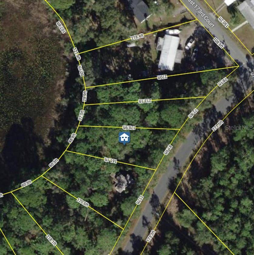 6954 SE 170TH AVENUE RD, Ocklawaha, FL 32179