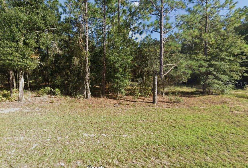 MISSOURI AVENUE, Hawthorne, FL 32640