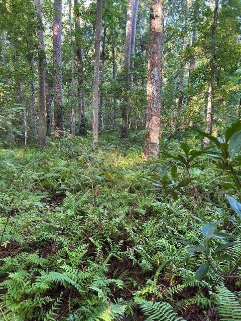 Address not disclosed, Sanford, FL 32773