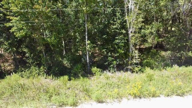 NE 110TH CT, Williston, FL 32696