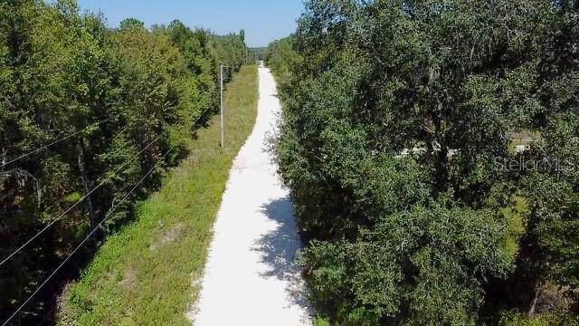 NE 110TH CT, Williston, FL 32696