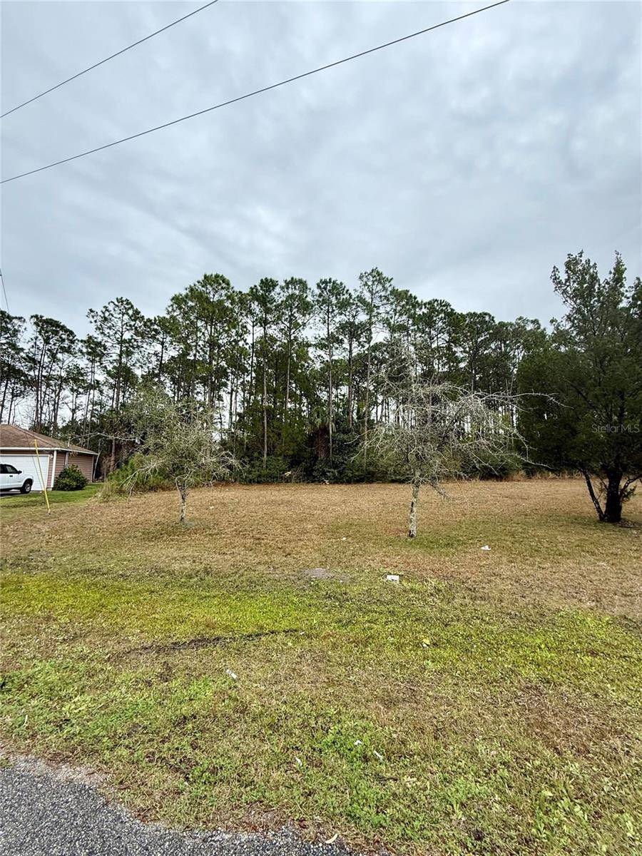 245 ULLIAN TRL, Palm Coast, FL 32164