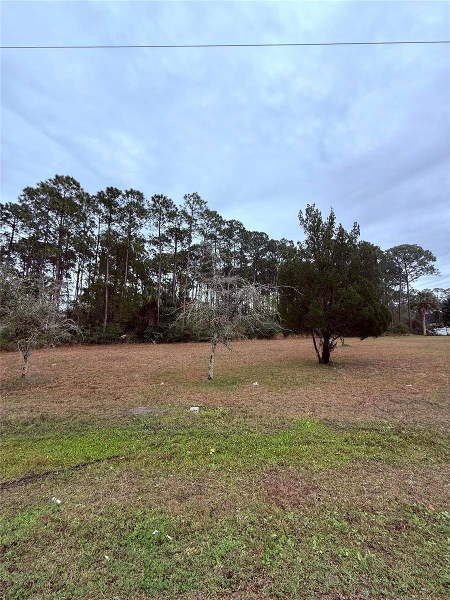 245 ULLIAN TRL, Palm Coast, FL 32164