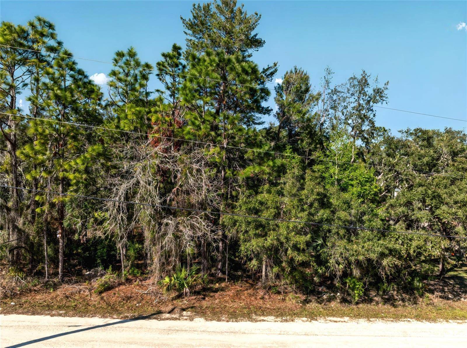 9003 GLENARM WAY, Weeki Wachee, FL 34613