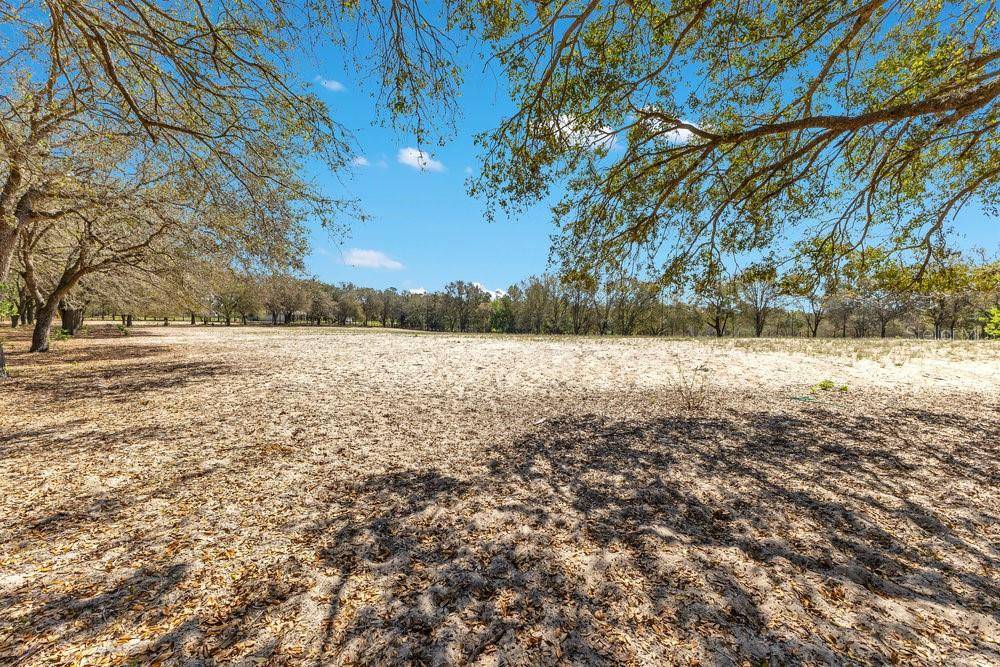 4649 MEADOWLAND DR, Mount Dora, FL 32757