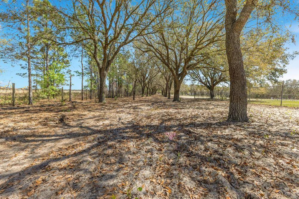 4649 MEADOWLAND DR, Mount Dora, FL 32757