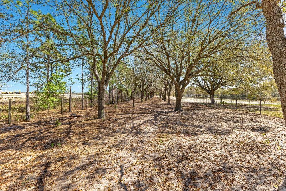 4649 MEADOWLAND DR, Mount Dora, FL 32757